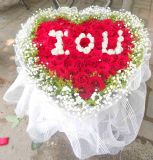 ú·ʻٵ